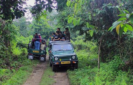 gorumara 3 nights tour