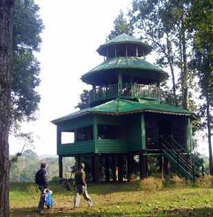 chukchuk tower in gorumara