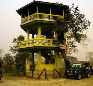 chandrachur tower in gorumara