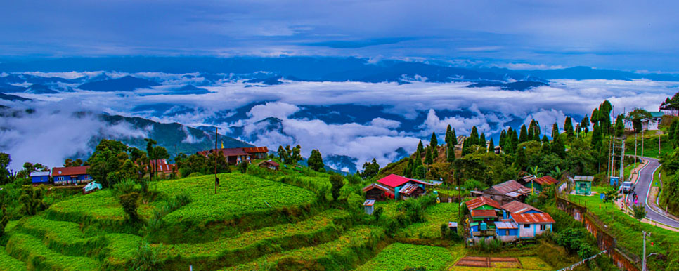 darjeeling gorumara tour