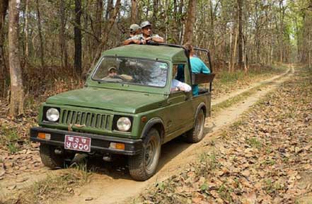 gorumara wildlife tour